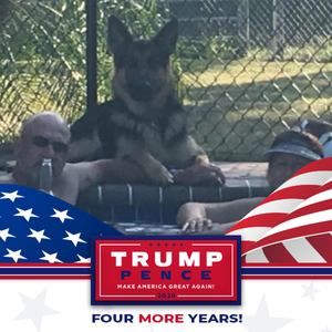 Meet your Posher, Felix